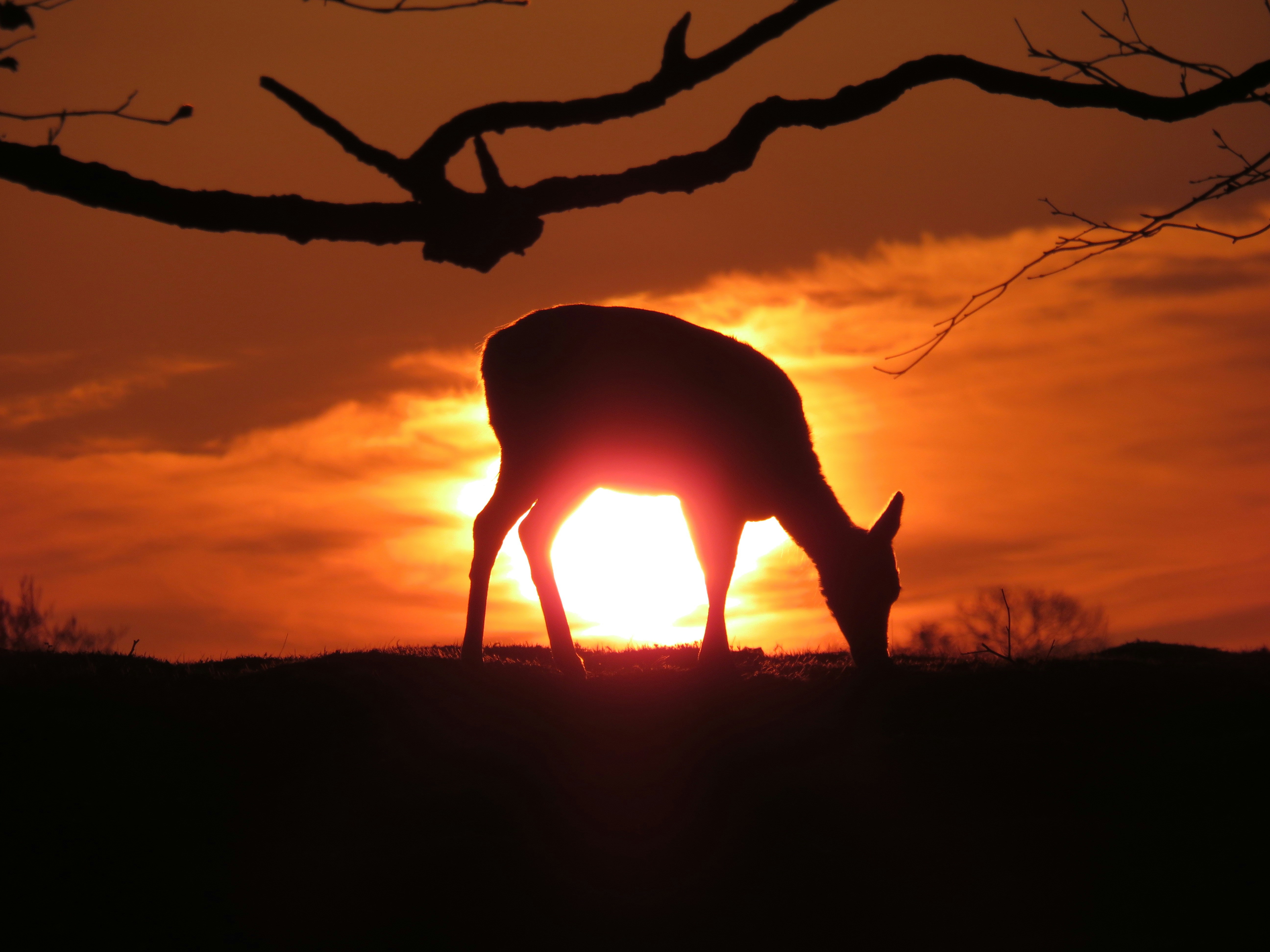 Sundowner Experience